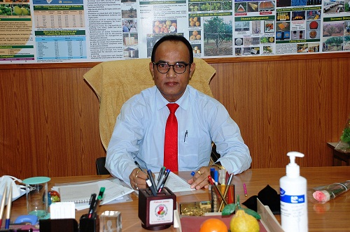 director image